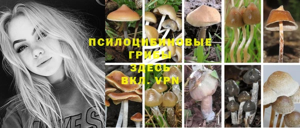 соль ск Алзамай