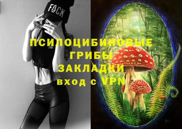 ALPHA PVP Арсеньев