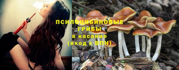 соль ск Алзамай